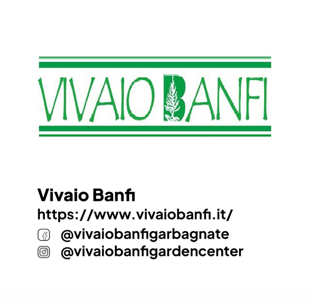 Vivaio Banfi
