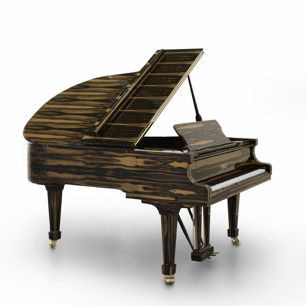 FAZIOLI PIANOFORTI SPA