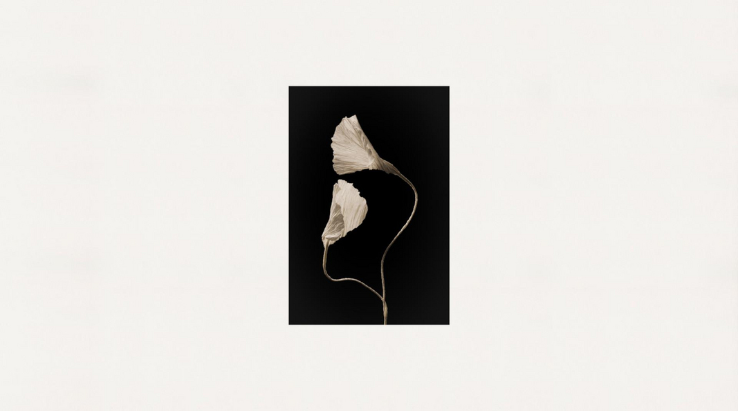 Livingceramics | Lithotech