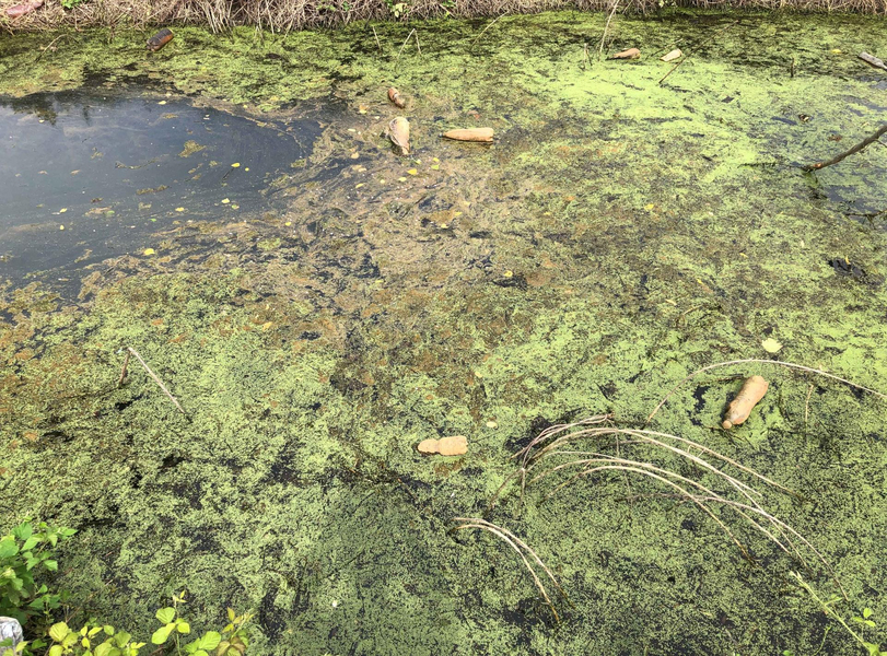 Acqua Lambro