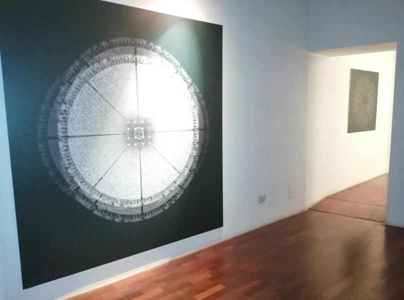Jelmoni Studio Gallery