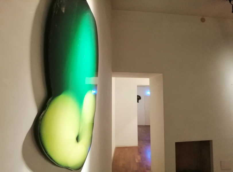 Jelmoni Studio Gallery