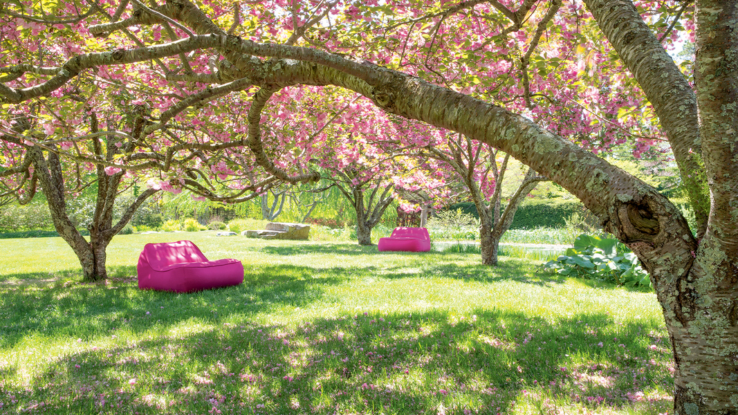 Paola Lenti