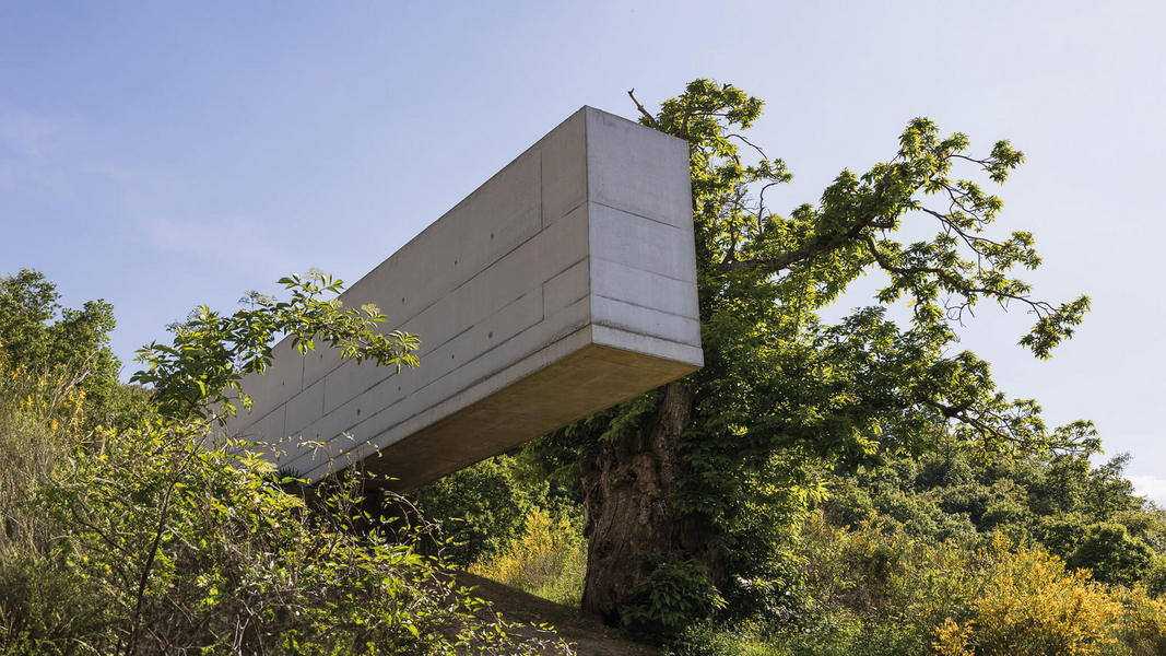 Oasy Contemporary Art and Architecture
