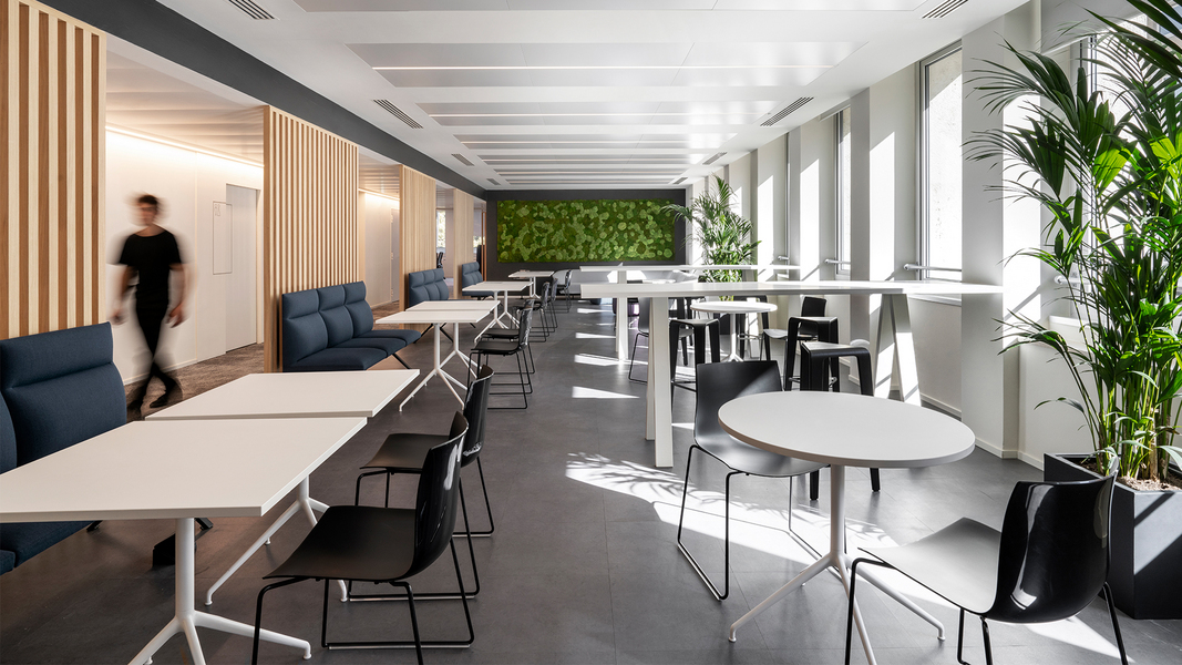 Progetto CMR International
