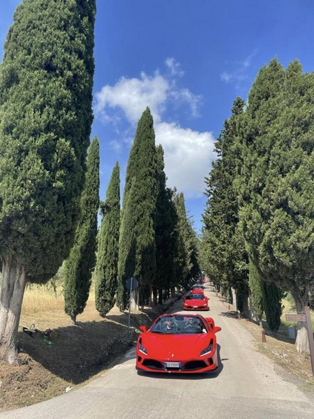 Red Travel srl