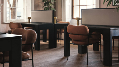 SynSisal®: Sisal Without Limits